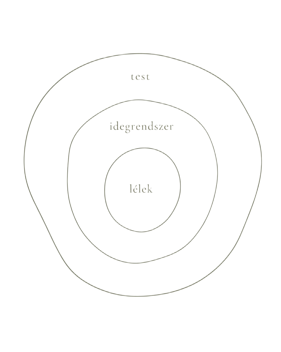 Koncentrikus körök – test, idegrendszer, lélek – a holisztikus szemlélet rétegei
